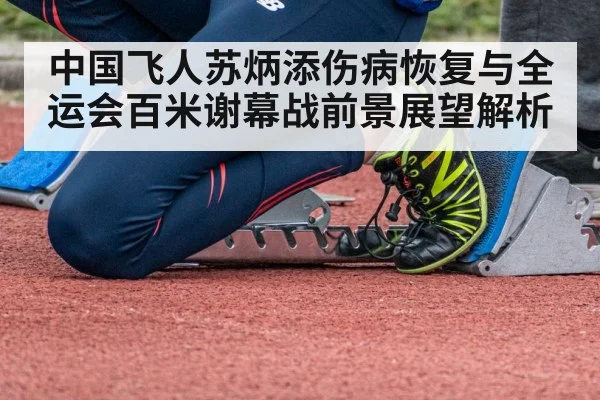 中国飞人苏炳添伤病恢复与全运会百米谢幕战前景展望解析