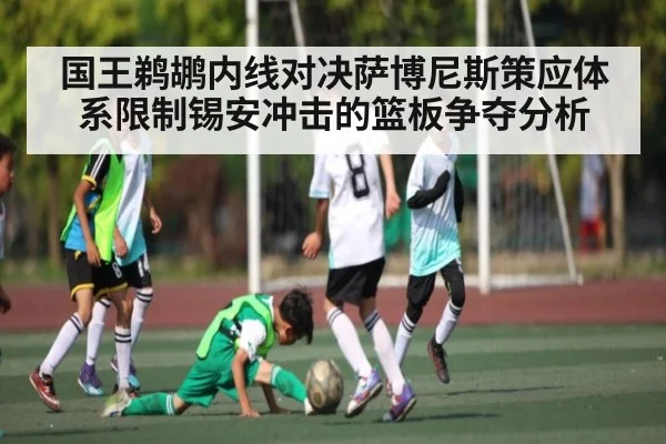 国王鹈鹕内线对决萨博尼斯策应体系限制锡安冲击的篮板争夺分析